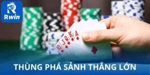 thung pha sanh thang lon
